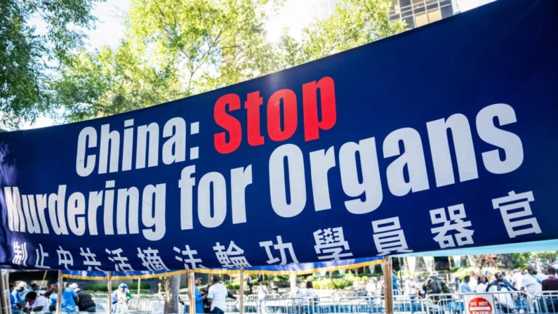 Praticantes do Falun Gong apelam junto às Nações Unidas na cidade de Nova Iorque em 20 de setembro de 2023. (Chung I Ho/Epoch Times)