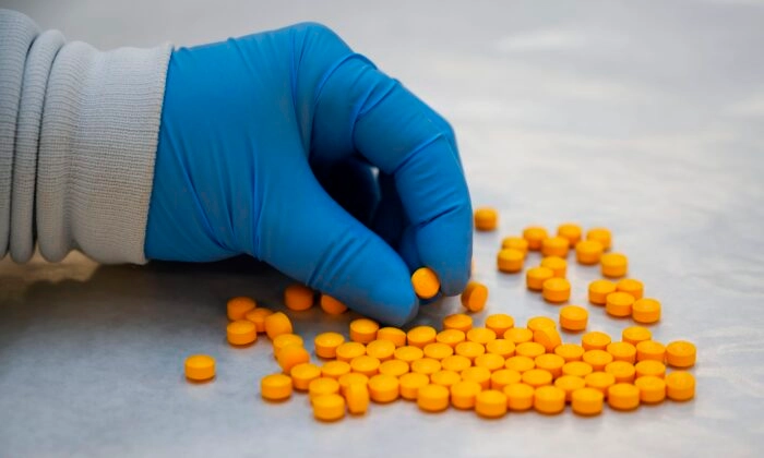 Um químico da Drug Enforcement Administration (DEA) verifica comprimidos confiscados contendo fentanil no Laboratório Regional Nordeste da DEA na cidade de Nova Iorque, em 8 de outubro de 2019 (Don Emmert/AFP via Getty Images)