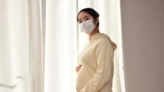 Mulheres grávidas angustiadas durante a pandemia podem ter bebês com volume cerebral reduzido