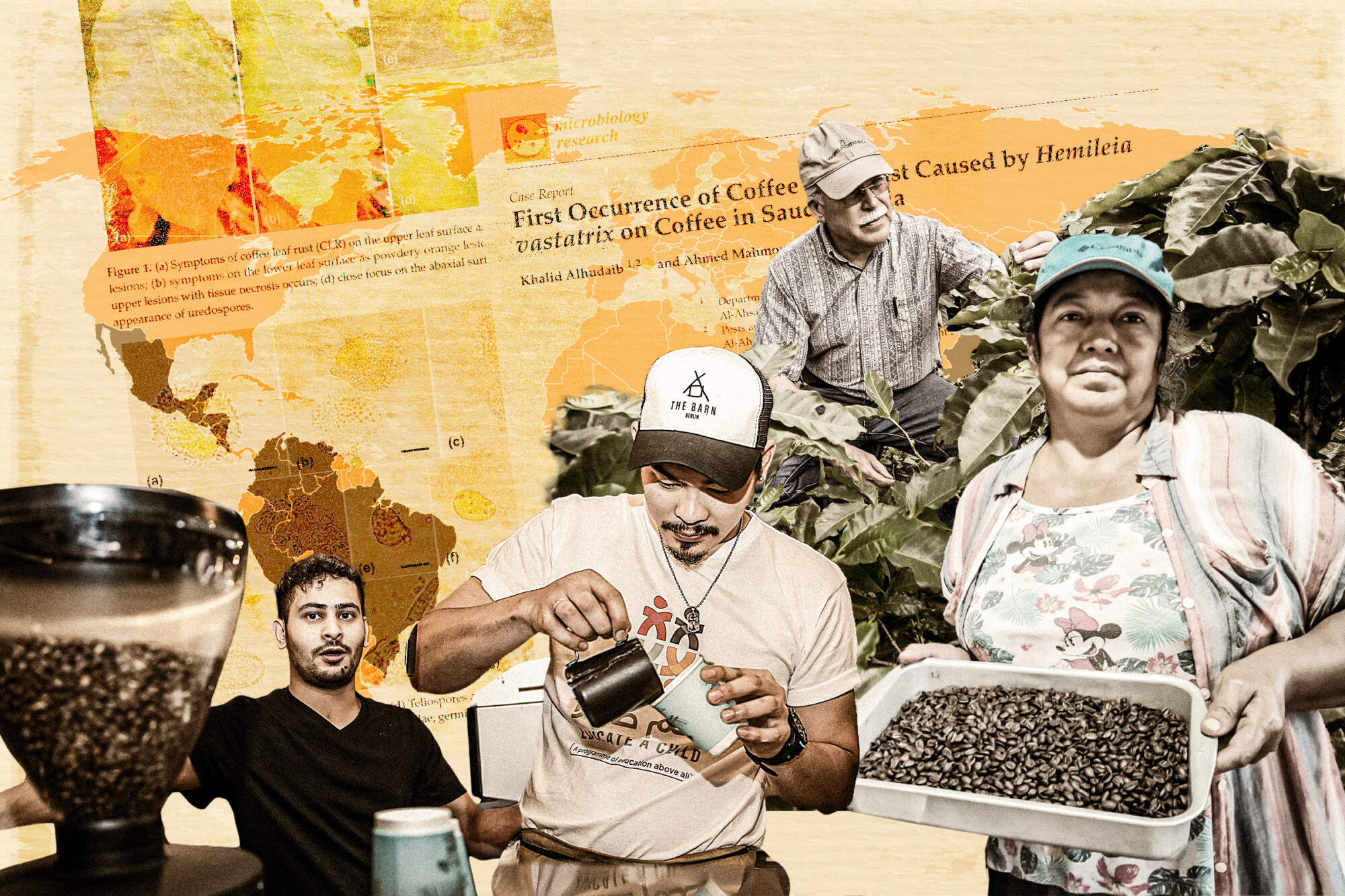 Com produção global de café sob ameaça, agricultores procuram novas soluções