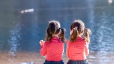 Reversão do autismo em meninas gêmeas por meio de mudanças ambientais e de estilo de vida é apontada em novo estudo