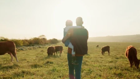 Cinco razões pelas quais prefiro a vida no campo