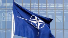 A OTAN apresentará uma “ponte para a adesão” da Ucrânia, segundo oficial dos EUA