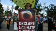 Empresas multimilionárias apoiam ativistas ambientais para obter lucro, segundo relatório