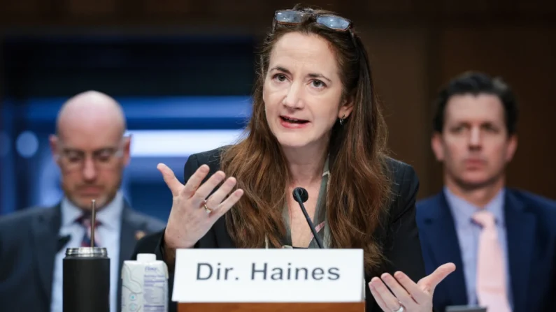 A diretora de inteligência nacional Avril Haines depõe perante o Comitê de Serviços Armados do Senado em Washington, em 2 de maio de 2024. (Win McNamee/Getty Images)
