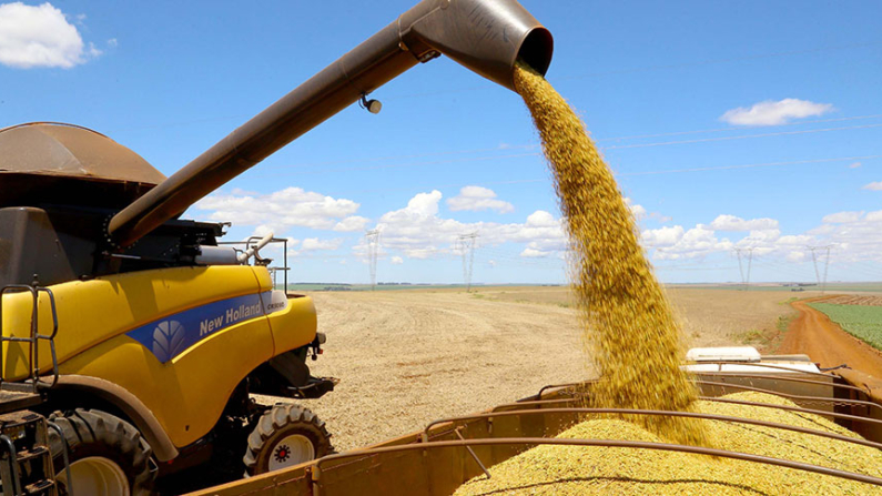 A estimativa da produção de soja tem sido crescente apesar das expectativas iniciais de maiores quedas pelo mercado (Foto: Jaelson Lucas/AEN-PR)