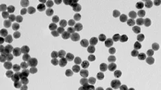 Cientistas aproveitam nanopartículas de ouro para combater infecções sem antibióticos