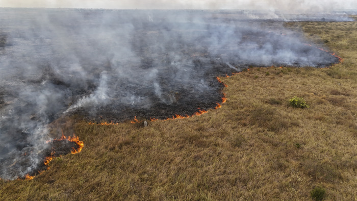 Área destruída por incêndios florestais no Brasil até junho mais do que dobrou em um ano