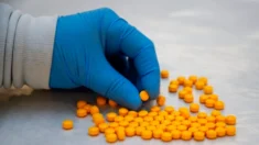 “Gangue de roubo de fentanil” ligada a mortes por overdose, dizem promotores