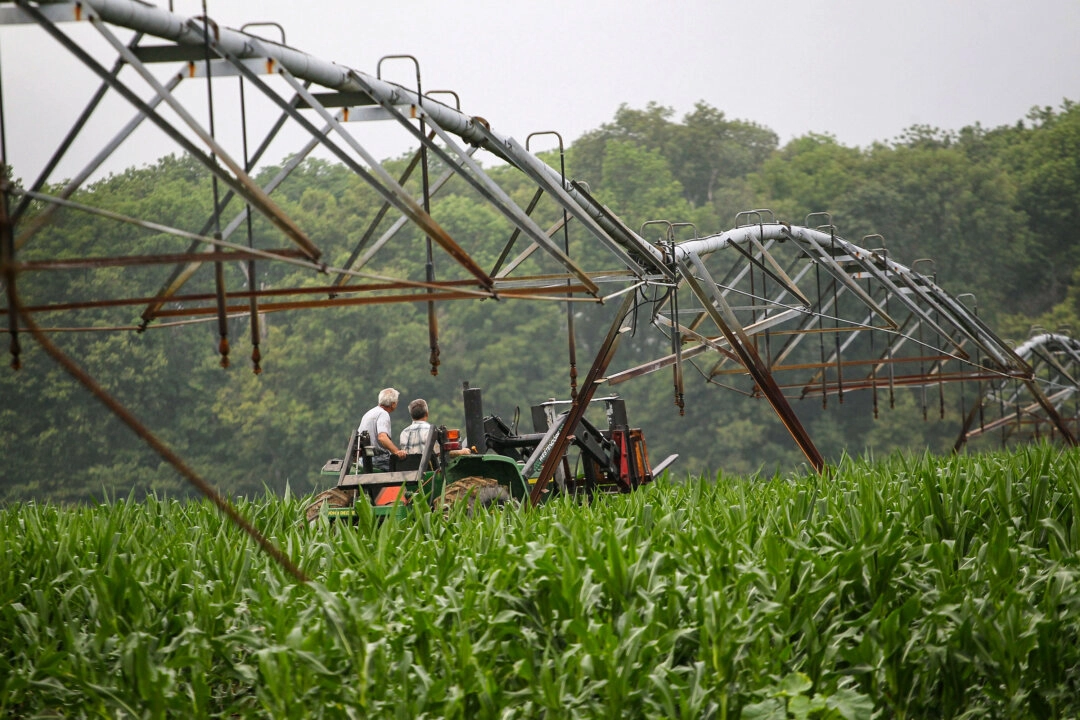 MDA propõe isenção tributária para agricultura familiar adquirir insumos