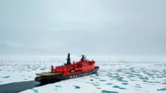 Nova estratégia do Pentágono para o Ártico visa combater parceria China-Rússia