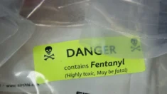 Cidadão chinês indiciado por supostamente importar 2 toneladas de substância de fentanil da China