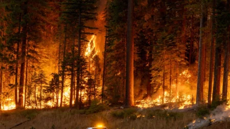 Como o incêndio no parque da Califórnia se tornou o maior incêndio nos EUA em poucos dias