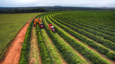 Brasil registra recorde de aberturas de mercado para o agro e aumento no crédito rural