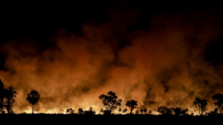 Incêndio no Pantanal alcança rodovia e eleva risco de acidentes