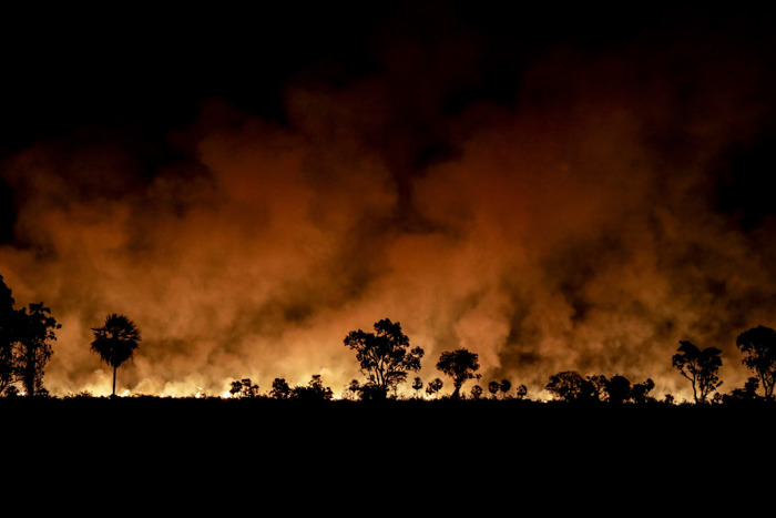 Pantanal brasileiro registra número recorde de incêndios entre janeiro e julho deste ano