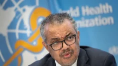 Diretor da OMS considera declarar emergência de saúde pública devido ao surto do vírus Mpox
