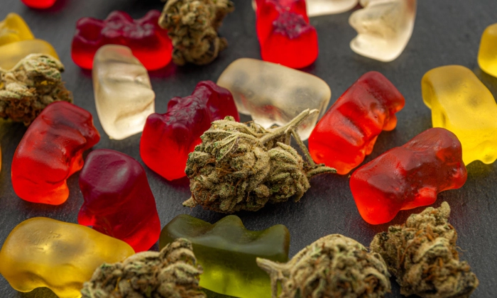 Gummies de maconha em uma foto de arquivo. (Victor Moussa/Shutterstock)
