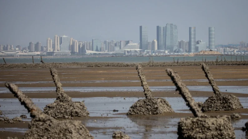 Fortificações antitanque de conflitos anteriores alinham-se na praia em frente à cidade chinesa de Xiamen em Kinmen, Taiwan, em 9 de abril de 2023. (Chris McGrath/Getty Images)
