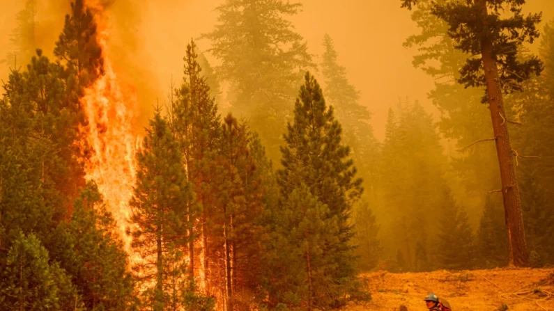 Um bombeiro do Serviço Florestal dos EUA monitora o incêndio durante o incêndio Park na área de Mill Creek, no condado de Tehama, na Califórnia, em 7 de agosto de 2024 (Josh Edelson/AFP via Getty Images)