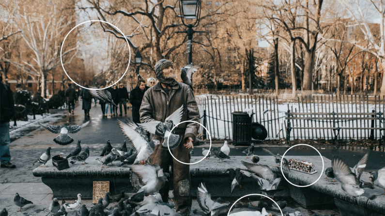 Os pontos gerados por IA estão circulados nesta foto. (Ilustração do Epoch Times, Unsplash)
