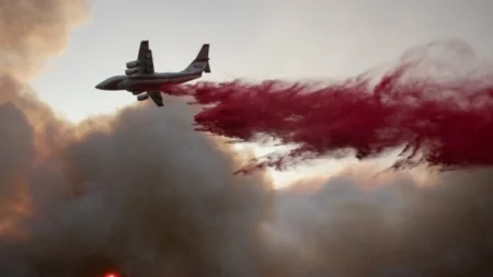 Especialistas afirmam que os incêndios florestais na Califórnia são causados pela má gestão da terra e pelo clima