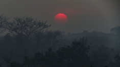 Fumaça das queimadas na Amazônia cobre o Rio Grande do Sul