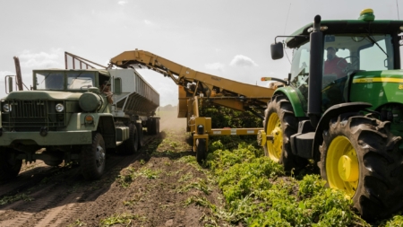 Setor agrícola: mercado brasileiro de ativos ambientais é tema de debate no Senado