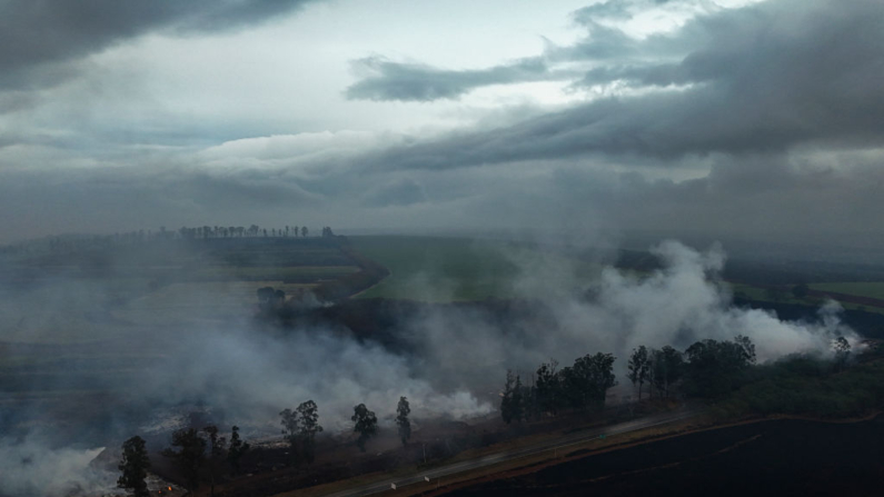  Vista aérea mostra um incêndio nos arredores da rodovia SP-253 em Ribeirão Preto, estado de São Paulo, Brasil, em 25 de agosto de 2024 (Foto: CARLOS FABAL/AFP via Getty Images)
