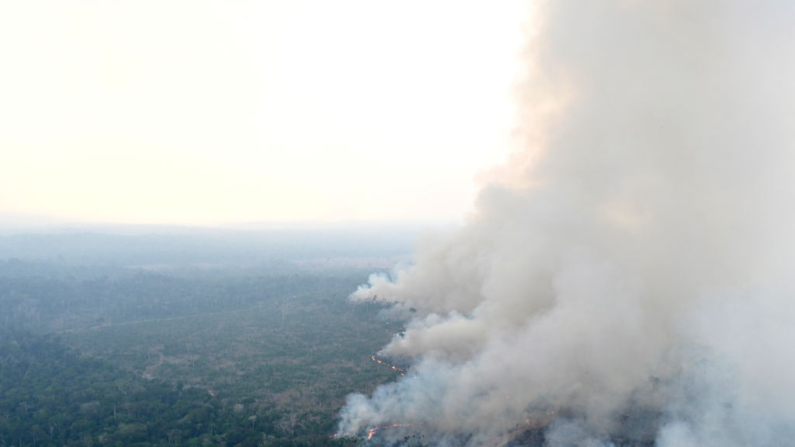 Vista aérea de uma área de floresta amazônica desmatada por incêndio no município de Lábrea, estado do Amazonas, Brasil, tirada em 20 de agosto de 2024. . Moradores de Porto Velho, na Amazônia brasileira, mal veem a luz do sol há dias, enquanto uma espessa nuvem de fumaça de incêndios florestais envolve sua cidade (Foto: EVARISTO SA/AFP via Getty Images)