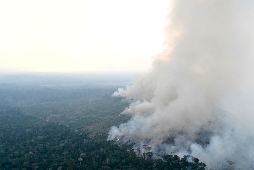 Em 2024, Amazônia registra maior número de incêndios florestais em 17 anos