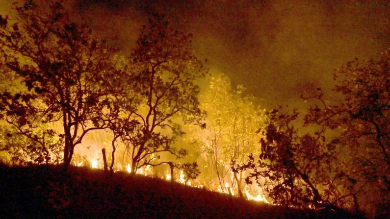 Queimadas na Amazônia registram mais de 2.500 focos de incêndio em São Félix do Xingu e Altamira (Foto: Jader Souza/AL Roraima)