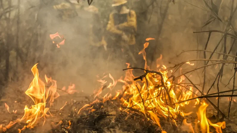 Foco de incêndio (Foto: Marcelo Camargo/Agência Brasil)