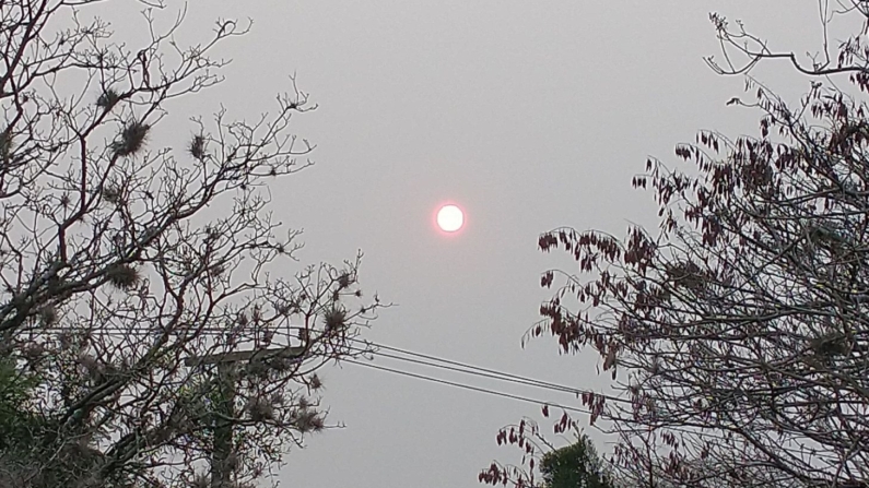 Céu em Porto Alegre (RS) amanhece encoberto pela fumaça nesta segunda-feira (Foto: Daniela Santos)