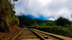 Traçado da Ferrogrão é ajustado pelo governo para contornar ação ambiental no STF