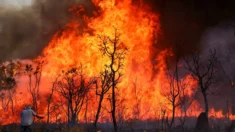 Incêndio no Parque Nacional de Brasília deixa DF coberto por fumaça; PF abre inquérito para apurar origem