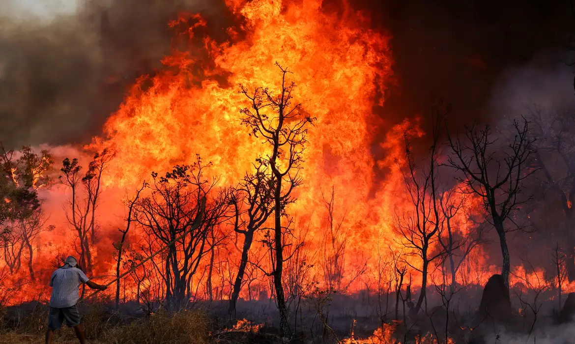 Polícia Federal prende suspeito de colocar fogo em área de proteção ambiental no DF