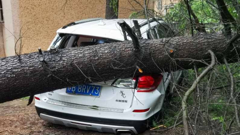 Uma árvore fica em cima de um carro depois de ter caído durante a passagem do tufão Bebinca em Wuxi, na província de Jiangsu, no leste da China, em 16 de setembro de 2024. O tufão Bebinca aterrissou na área costeira oriental de Xangai no início da manhã de 16 de setembro com velocidades de vento de cerca de 150 quilômetros por hora, informou a mídia estatal (Foto de STR/AFP via Getty Images)
