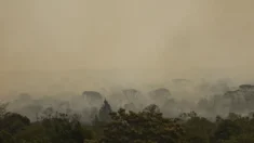 Incêndio no Parque Nacional de Brasília segue ativo no subsolo e pode se intensificar novamente