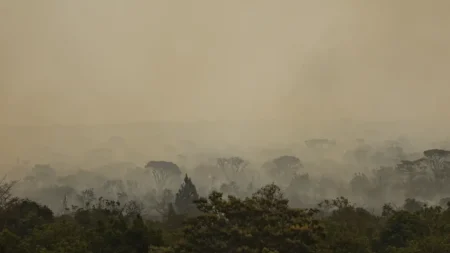 Incêndio no Parque Nacional de Brasília segue ativo no subsolo e pode se intensificar novamente