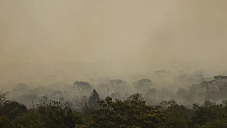 Parque Nacional de Brasília foi atingido por um incêndio de grandes proporções (Marcelo Camargo/Agência Brasil)