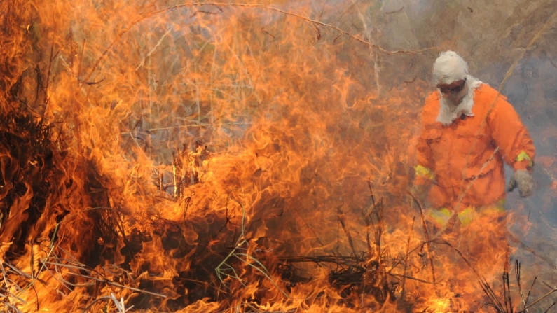 Brasília registra 704 incêndios florestais nos primeiros 15 dias de setembro
Planaltina, Brasília, DF, Brasil 28/8/2015 (Foto: Gabriel Jabur/Agência Brasília)