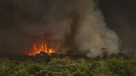 Incêndios florestais afetam diretamente 11,2 milhões de pessoas no Brasil e causam prejuízos bilionários