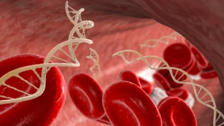 Nova pesquisa encontra DNA que combate o câncer em alimentos comuns