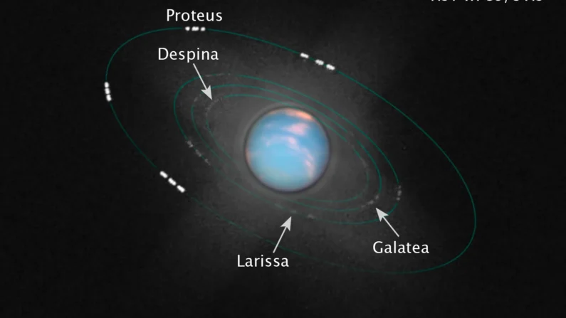 Esta ilustração é uma composição de várias imagens separadas do Hubble WFC3. Uma imagem colorida composta de exposições feitas por meio de três filtros coloridos mostra o disco de Netuno, revelando nuvens em sua atmosfera. 48 imagens separadas de um único filtro foram iluminadas para revelar as luas muito fracas. Os pontos brancos são as luas internas de Netuno movendo-se ao longo de suas órbitas durante as observações do Hubble. As linhas verdes sólidas traçam a órbita completa de cada lua (Imagem: NASA, ESA e Z. Levay (STSCI))