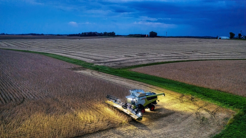 O agronegócio brasileiro fechou o primeiro semestre de 2024 com superávit (Foto: Tom Fisk)