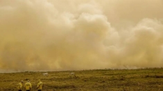 Quase 19 milhões de pessoas foram afetadas diretamente pelos incêndios no Brasil