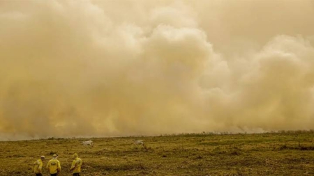 Quase 19 milhões de pessoas foram afetadas diretamente pelos incêndios no Brasil