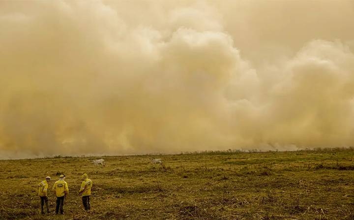 Incêndios florestais no Brasil atingiram o maior nível em 14 anos (Foto: Joédson Alves/Agência Brasil)