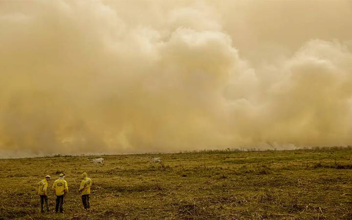 Quase 19 milhões de pessoas foram afetadas diretamente pelos incêndios no Brasil